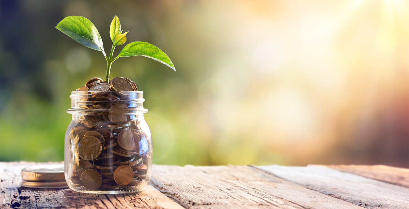 Plant Growing In Savings Coins - Investment And Interest Concept